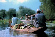 Kashmir - Two Men in Shikara