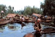 Kashmir Vegetable Market