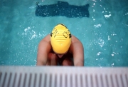 Swimmer Starting